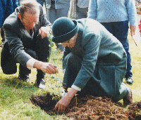 Dr Winifred Curtis planting commemorative tree